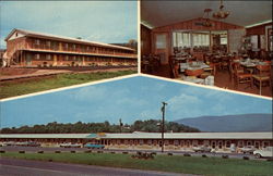 Potomac Motel, Dining Room & Golf Course Postcard