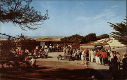 Barbecue Area, Asilomar Hotel and Conference Grounds Postcard