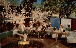 Birthday party at Sugar Plum Tree Postcard