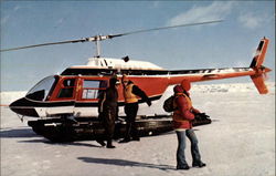 Landing on the ice Postcard