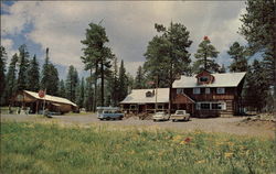 Hannagan Meadows Alpine, AZ Postcard Postcard