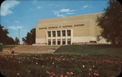 Denver Museum of Natural History Colorado Postcard Postcard