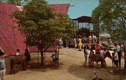 The Barnyard, Children's Zoo, Los Angeles Zoo California Postcard Postcard