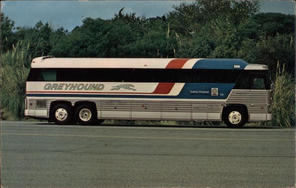 Greyhound Lines Buses
