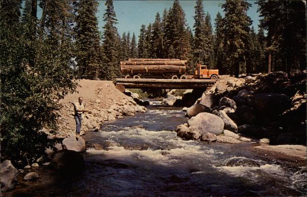 Logging Truck Crossing River in the Forest California