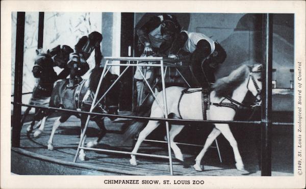 Chimpanzee Show, St. Louis Zoo Missouri