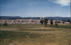 I.B.M plant Postcard