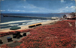 Public Bathing Beach and Ocean Fishing Pier Postcard
