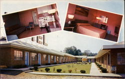 Siesta Motel Postcard