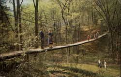 The Bridge of Sighs - Pennellwood Resort Berrien Springs, MI Postcard Postcard