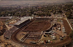 The Rodeo City The Rodeo City