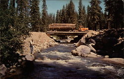 Logging Truck Crossing River in the Forest Postcard