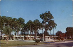 Town Hall Court Sarasota, FL Postcard Postcard