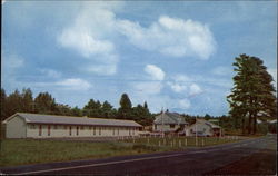 Covered Bridge Motel and Restaurant Dover-Foxcroft, ME Postcard Postcard