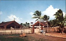 The Maori Village Postcard