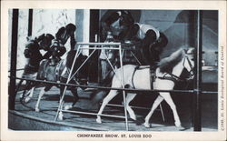 Stock #292066 Thumbnail