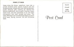 back