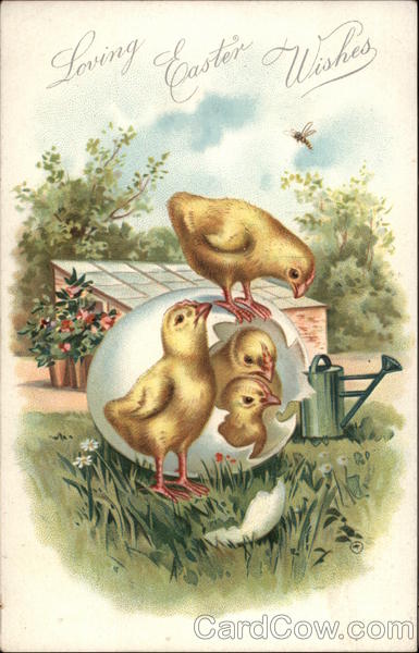 Loving Easter Wishes With Chicks