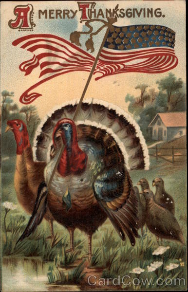 A Merry Thanksgiving Turkeys