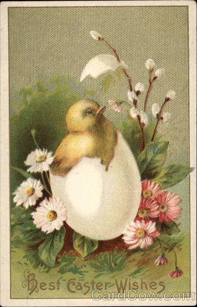 Best Easter Wishes With Chicks