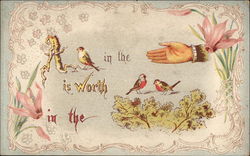 A Bird in the Hand is Worth Two in the Bush Postcard