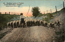Herding Lambs To Pasture Is The Schoolboy's Delight Farming Postcard Postcard