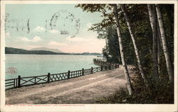 Pine Hurst Road Lower Saranac Lake Postcard