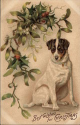 Best Wishes for Christmas - Dog with Holly and Mistletoe Postcard