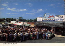 Turtle Races Longville Minnesota