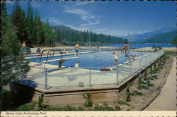 Hume Lake Swimming Pool Postcard