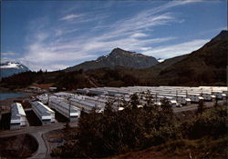 A peaceful day in Valdes Terminal Camp Valdez, AK Postcard Postcard