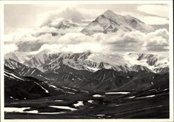 Mount McKinley Postcard