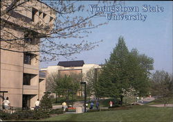 Youngstown State University Postcard