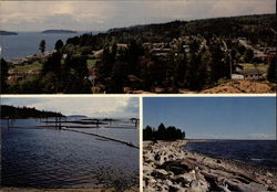 Sunshine Coast Postcard