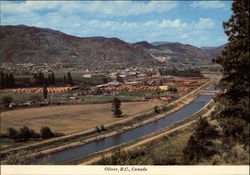 View over Town Oliver, BC Canada British Columbia Postcard Postcard