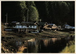 View of Houses and River Postcard