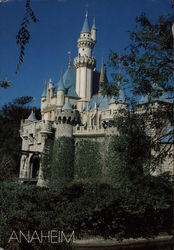 Disneyland Postcard