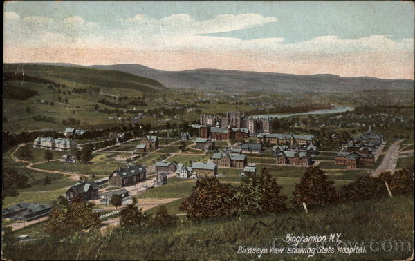 Birdseye View Showing State Hospital Binghamton New York