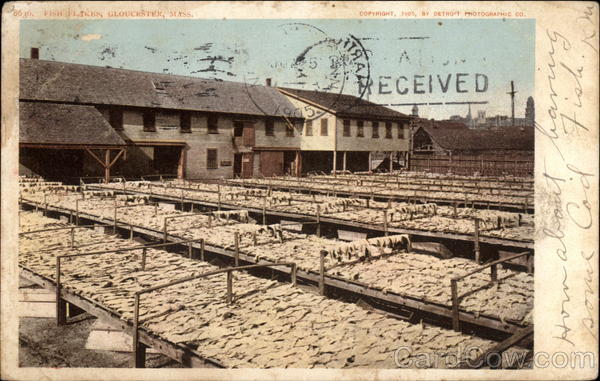 Fish Flakes Gloucester Massachusetts