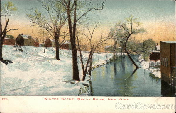 Winter Scene, Bronx RIver New York