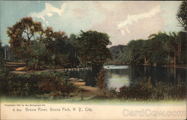 Bronx River, Bronx Park New York