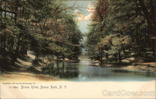 Bronx River, Bronx Park New York