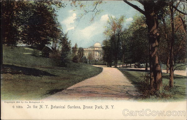 In the NY Botanical Gardens, Bronx Park New York