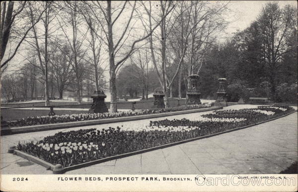 Flower Beds, Prospect Park Brooklyn New York