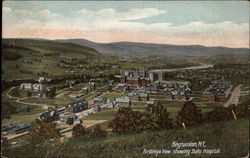 Birdseye View Showing State Hospital Postcard