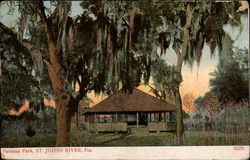 Panama Park on the St. Johns River Postcard
