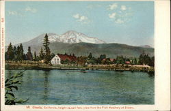 Mt. Shasta Viewed from Fish Hatchery Mount Shasta, CA Postcard Postcard