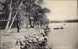 Looking Along the Shore Canobie Lake Park, NH Postcard Postcard