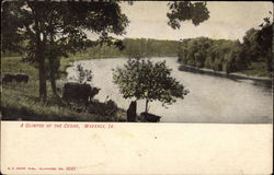 A Glimpse of the Cedar Waverly, IA Postcard Postcard