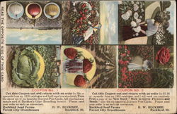 Buckbee's Full of Life Seeds Rockford, IL Postcard Postcard